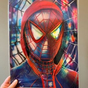Spider-Man 3D Art Print
